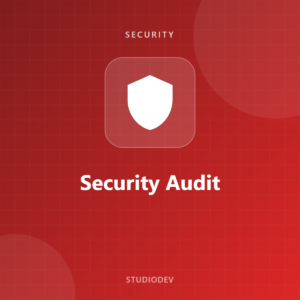 Security Audit